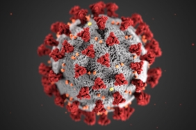 Yeni Veri Seti, Viral Protein Komplekslerini Açıklayarak Pandemi Hazırlığını Destekliyor