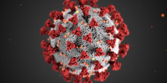 Yeni veri seti, viral protein komplekslerini açıklayarak pandemi hazırlığını destekliyor