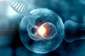 AI-in-IVF-labs-improving-embryo-selection-and-success-rate